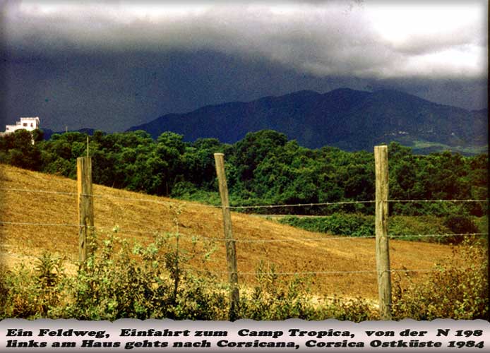 n_07_camp_tropica_ 1984.jpg